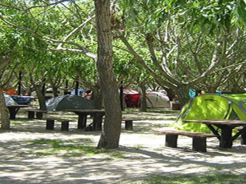 campinglos3pinos6-9796300637.jpg