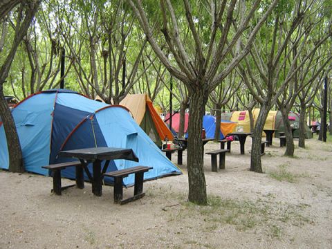 campinglos3pinos7-8309336313.jpg