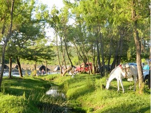 Camping La Pirca