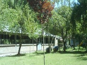 Camping Ball Paraíso