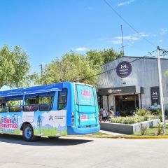 Con estrictos protocolos sanitarios, el regreso del Bus Turístico ofrece salidas guiadas al Paraná de las Palmas